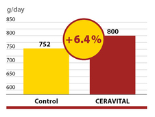 Daily weight gain increases with CERAVITAL