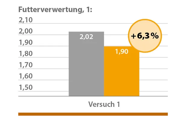 Geflügelfütterung mit CERAVITAL Geflügelfütterung mit CERAVITAL