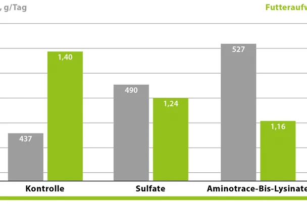 AMINOTRACE supports weight gain