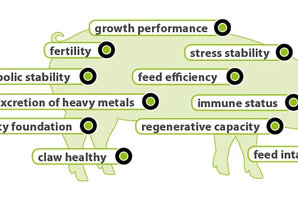 Key aspects of impact