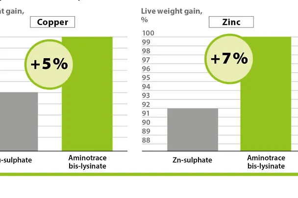 AMINOTRACE with poultry
