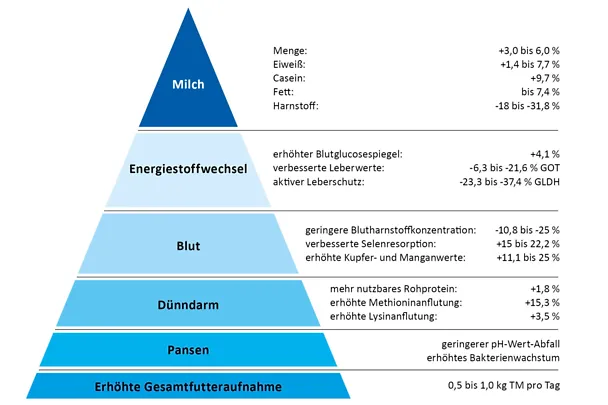 Leistungspyramide BOVIN-S-KOMPLEX Leistungspyramide BOVIN-S-KOMPLEX