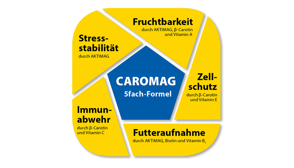 CAROMAG für Milchkühe