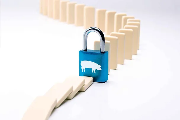 Symbolbild: SCHAUMACID-Futtersäuren stoppen den Infektionskreislauf