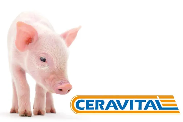 CERAVITAL in der Ferkelaufzucht