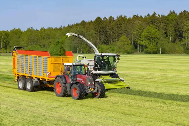 Grassilierung