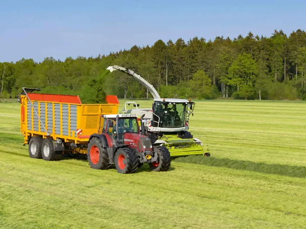 Grassilierung