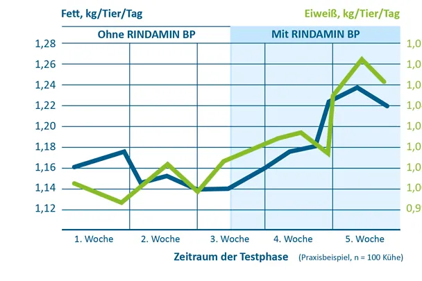 RINDAMIN BP stabilisiert Milchinhaltsstoffe