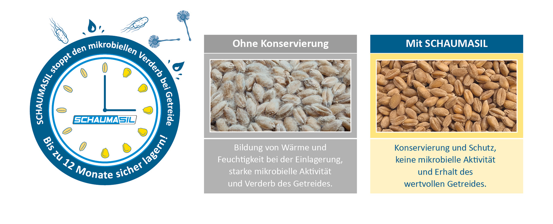 SCHAUMASIL stops microbial spoilage in grain
