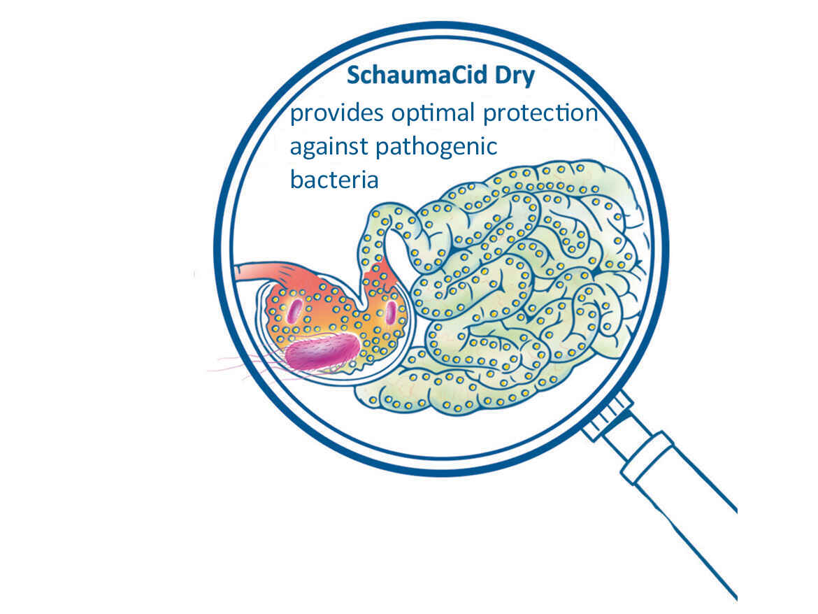Effects of SCHAUMACID DRY Effects of SCHAUMACID DRY
