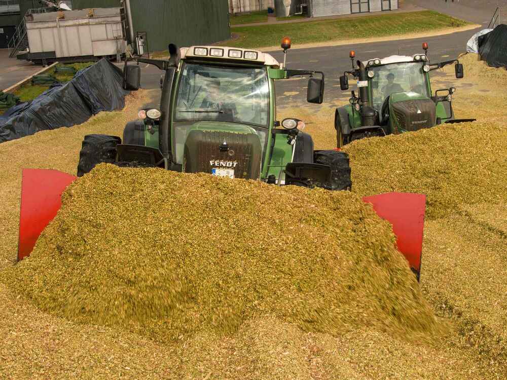 Silage management - Tips for successful maize silage