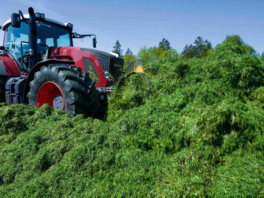 Reacting correctly to high residual sugars in grass silage