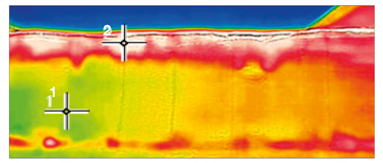 Reheated maize silage