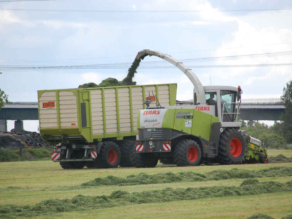 Silage management - tips for successful grass silage