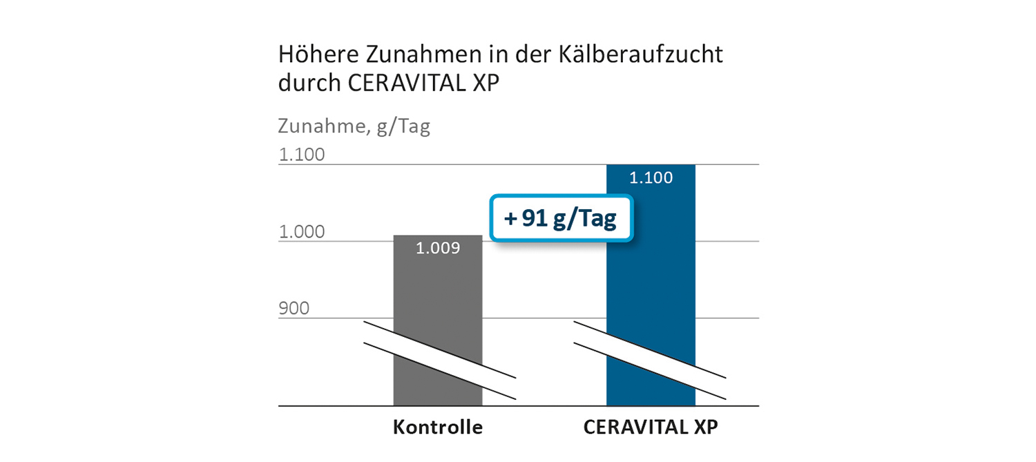 Höhere Zunahmen in der Kälberaufzucht mit CERAVITAL XP