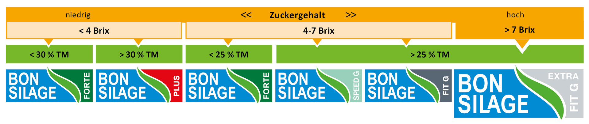 BONSILAGE FIT G EXTRA erweitert die BONSILAGE-Produkte speziell für die Behandlung zuckerreicher Grassilagen
