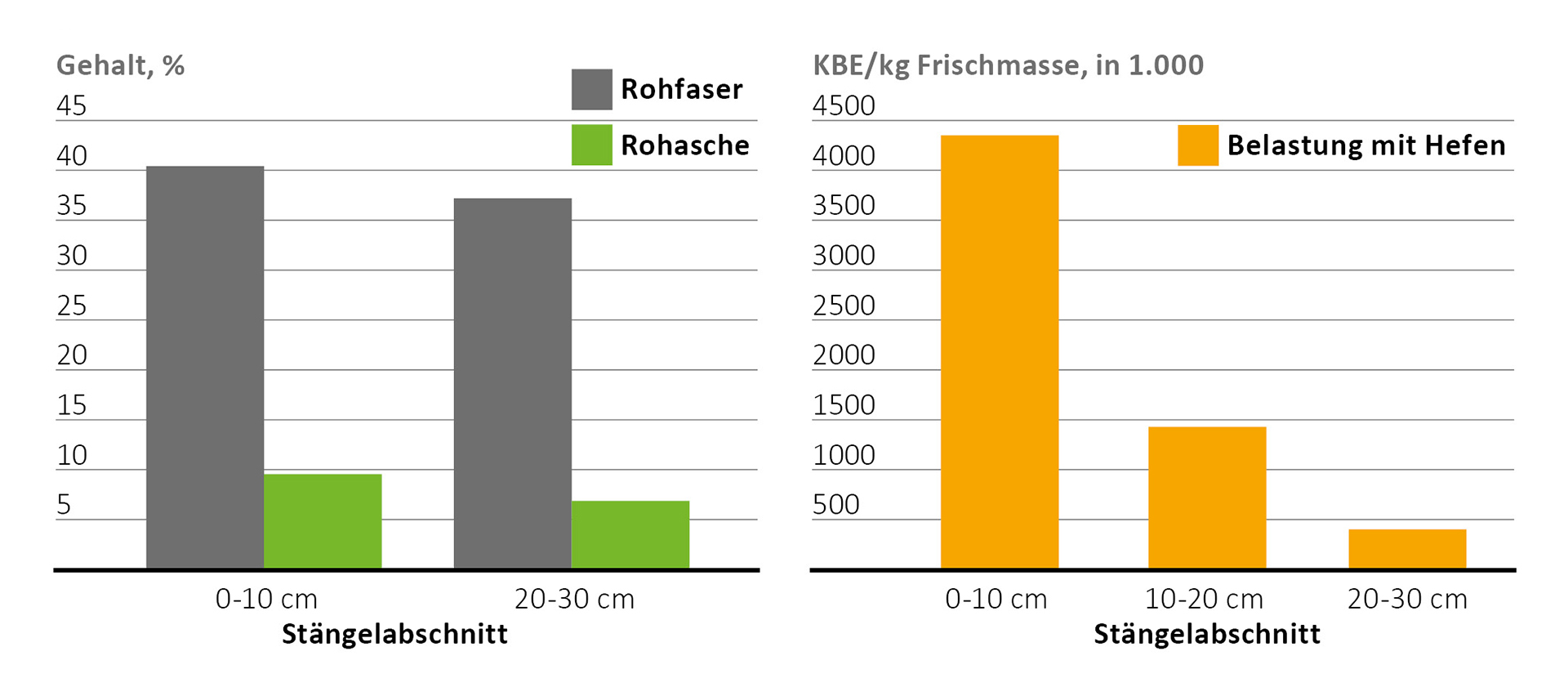 Hefe-Belastung und Inhaltsstoffe von Maisstängeln