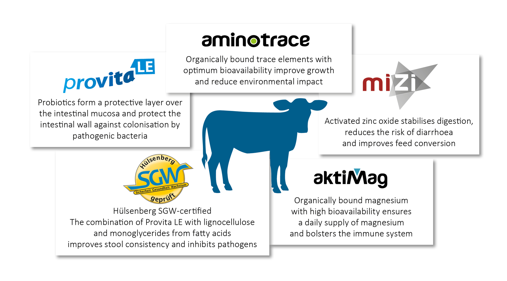 Interaction of various active ingredients for a healthy calf