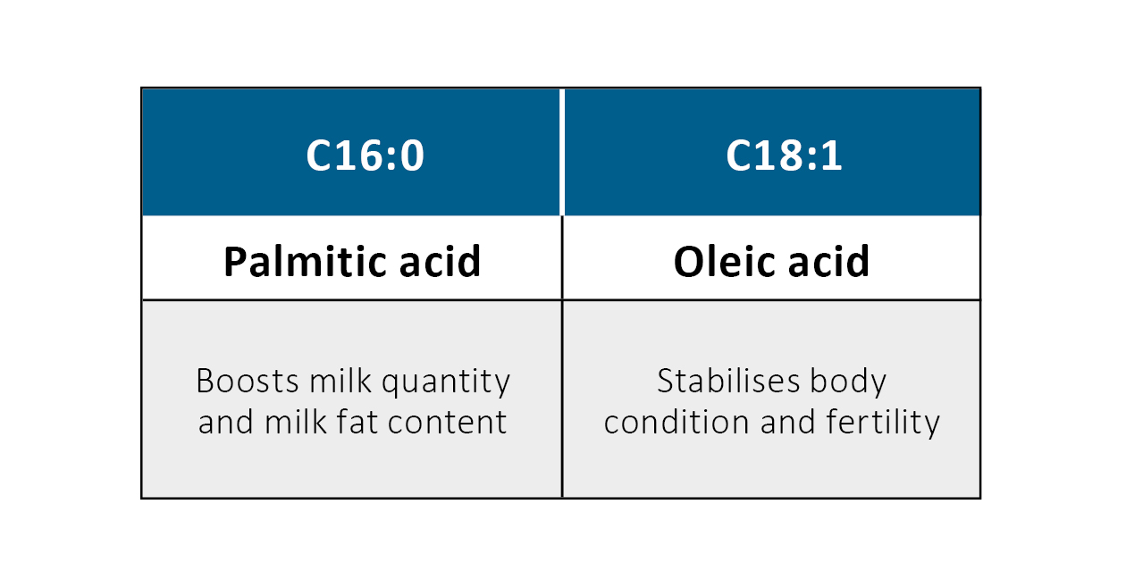 The two most important fatty acids in rumen-protected fatty acids