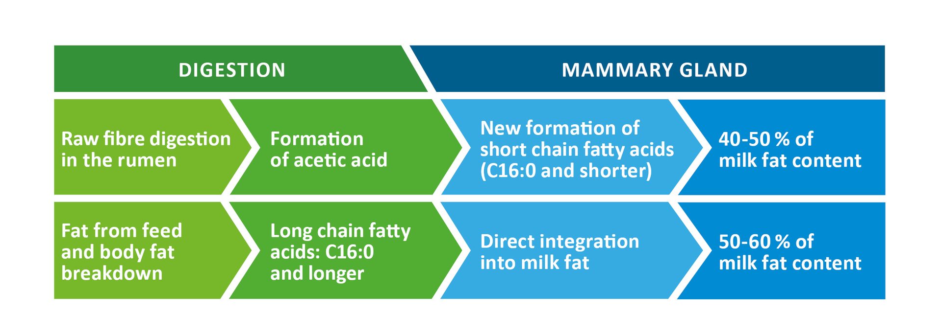 Influence of feeding on milk fat content