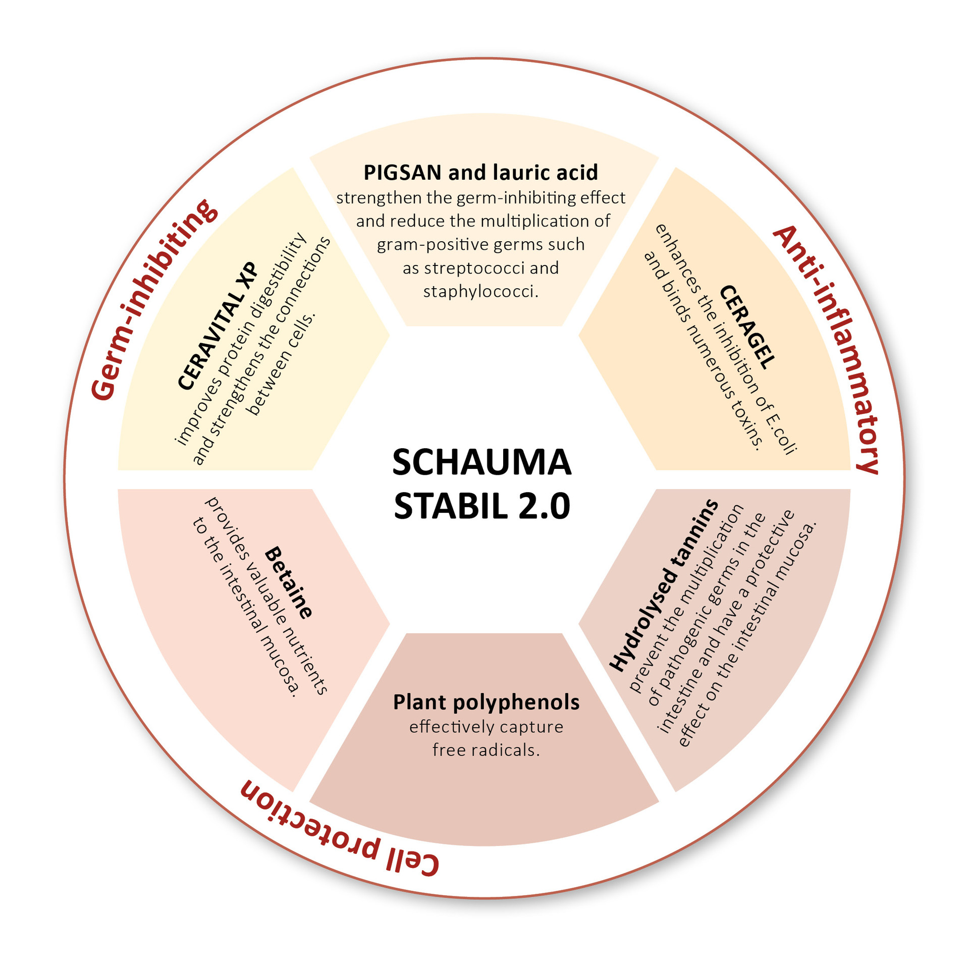 SCHAUMA STABIL 2.0 - Plan of action