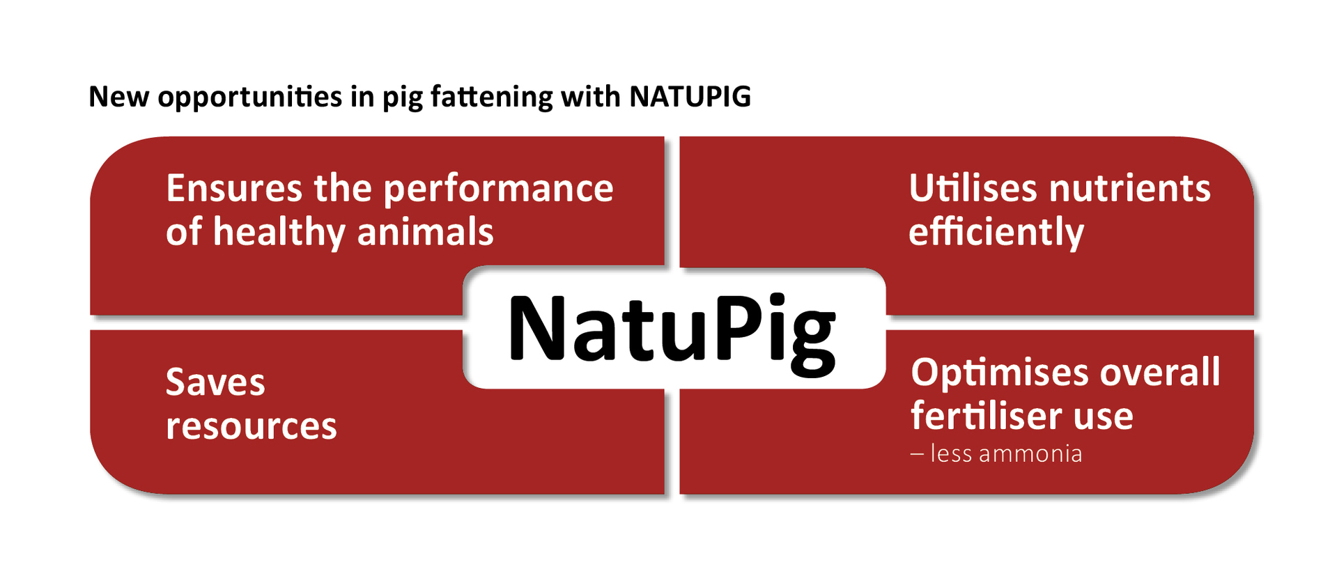 Opportunities in pig fattening with NATUPIG