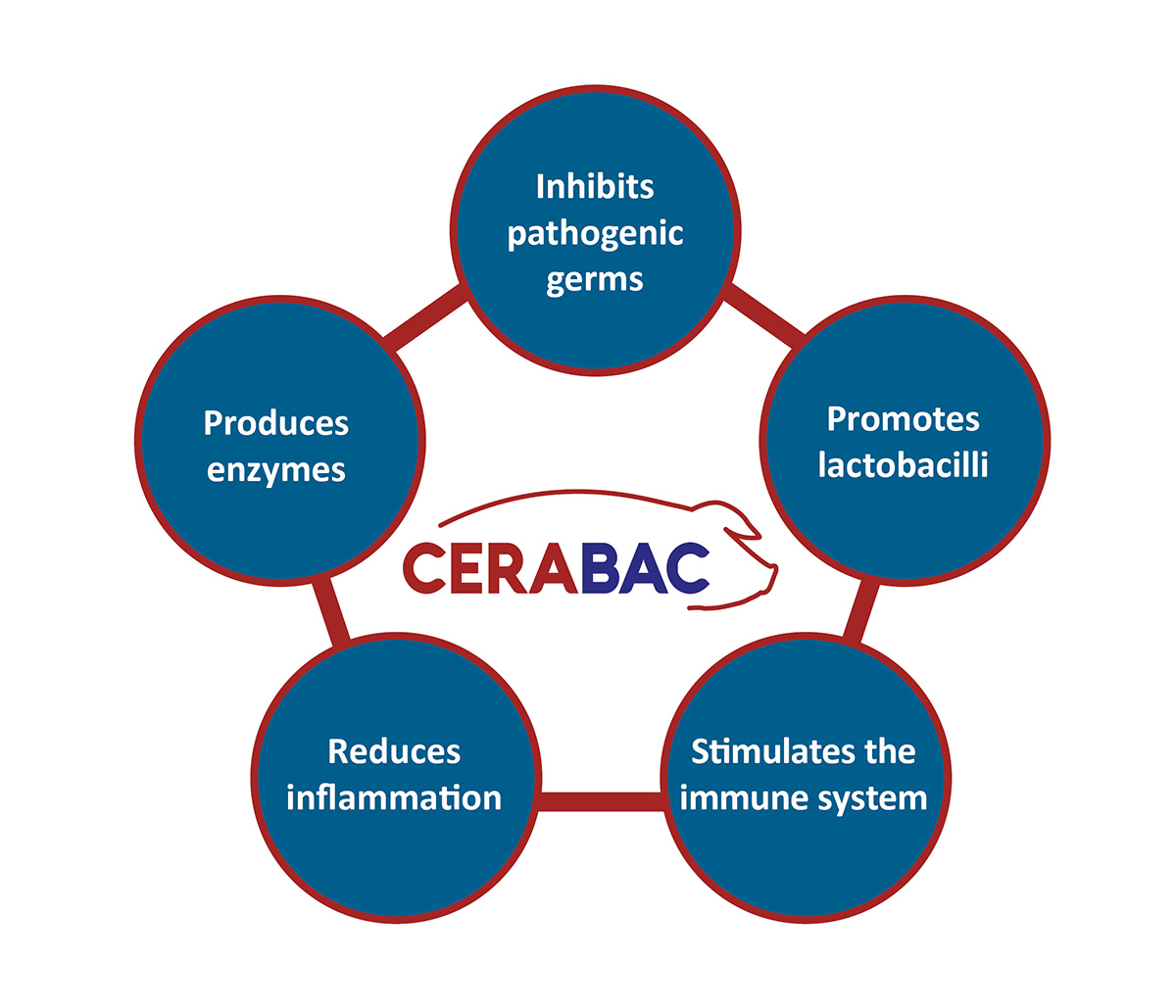 Effects of ERABAC