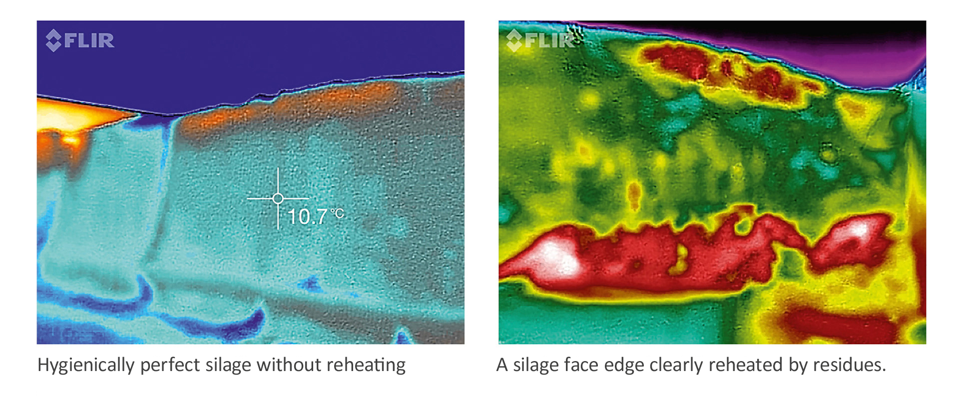 Thermal images clearly show the reheating at the silage face