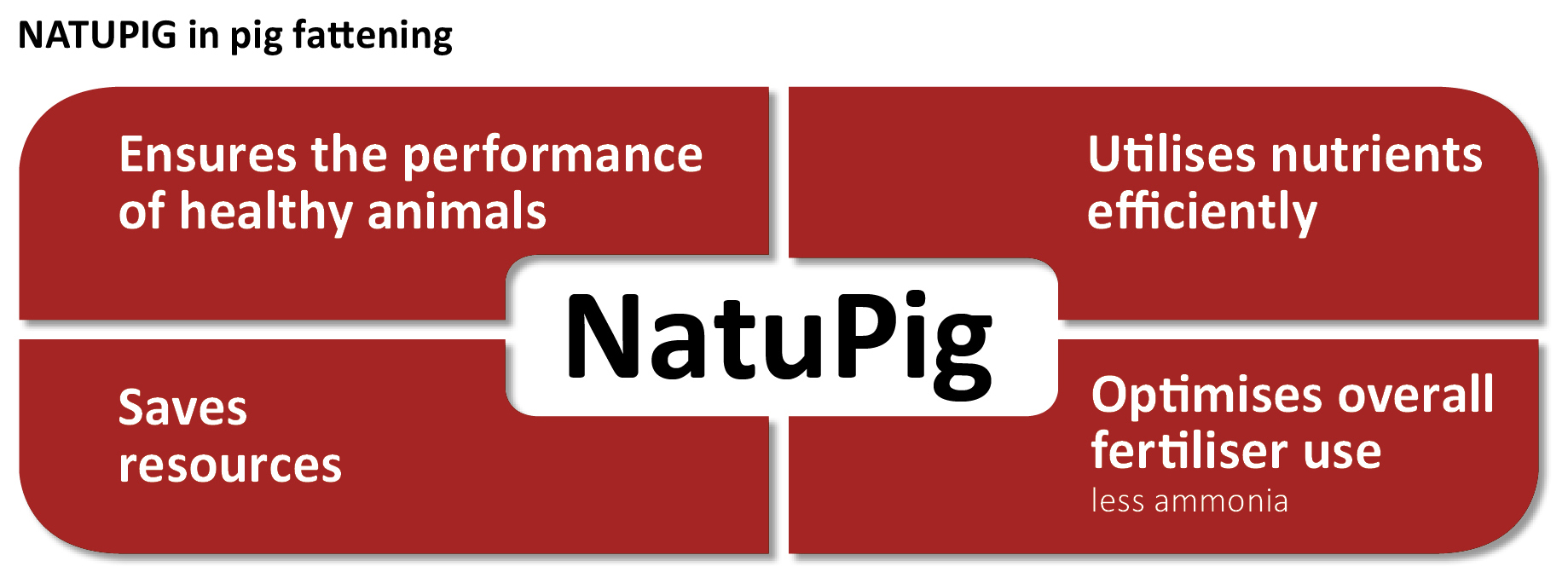 NATUPIG in pig fattening