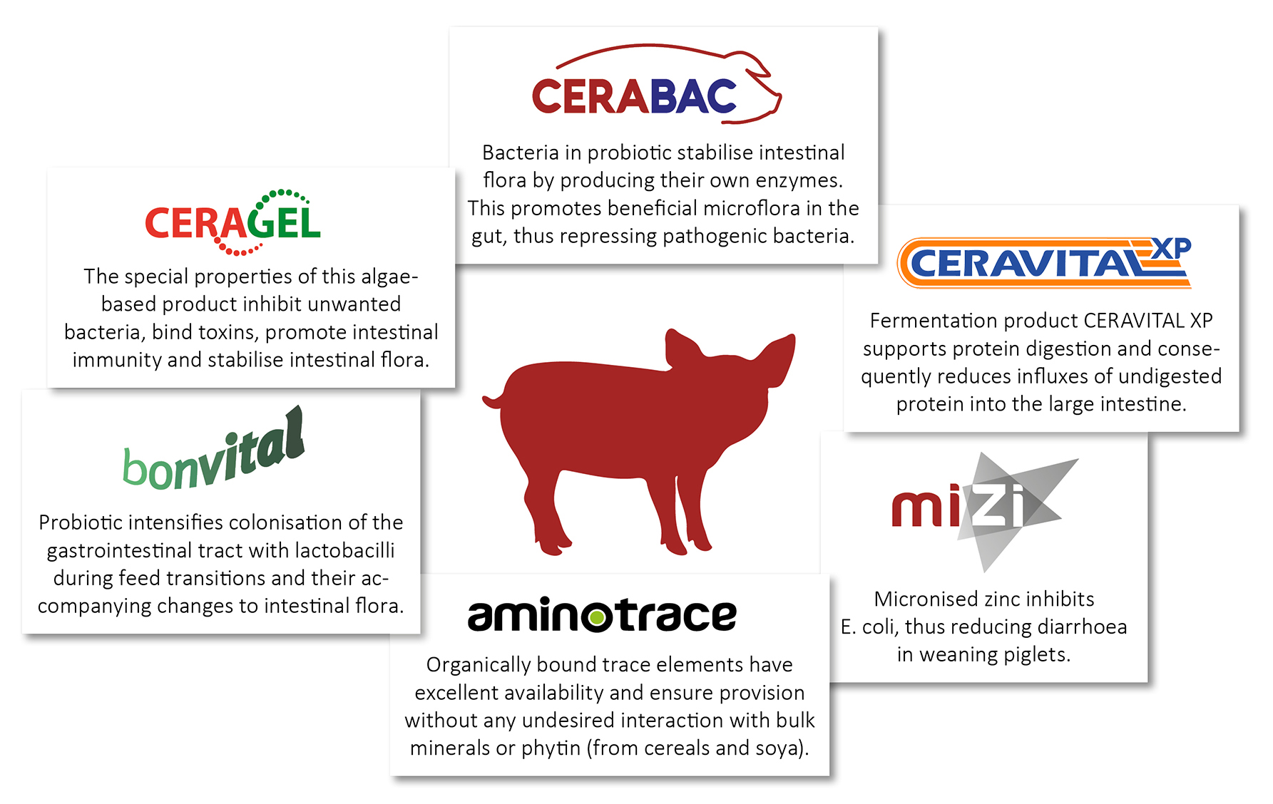 Interaction of active ingredients