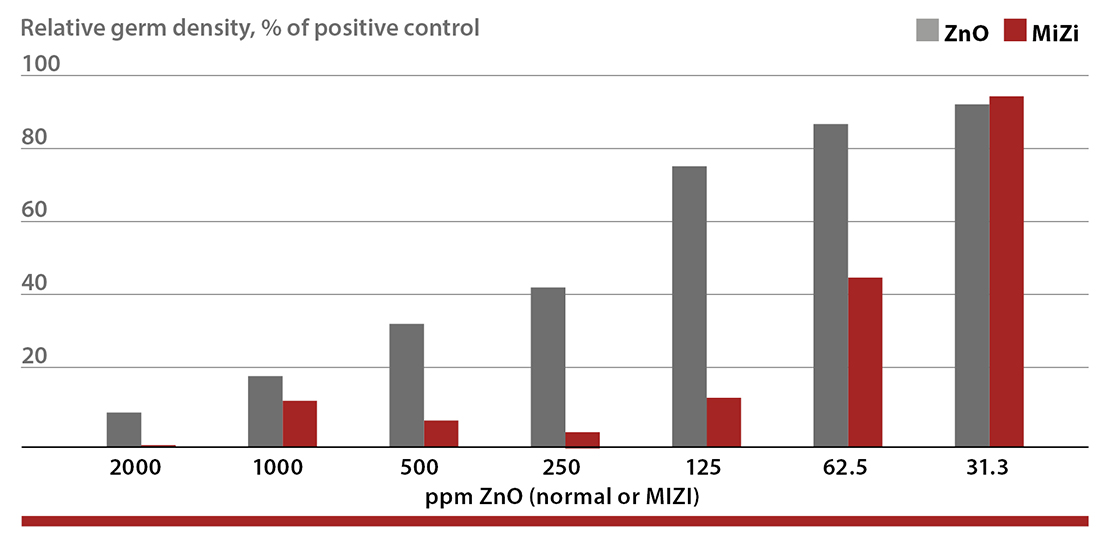 Influence of different zinc oxide doses