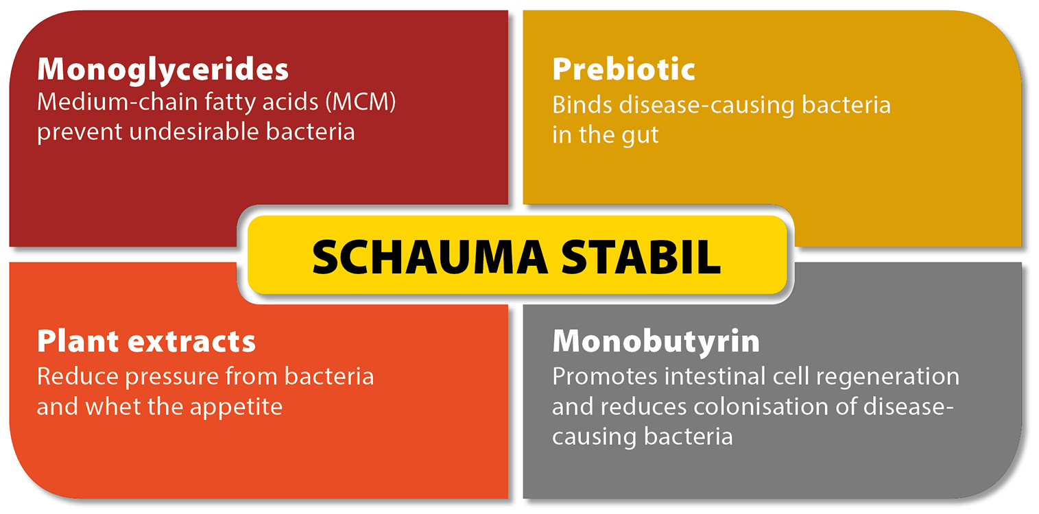 SCHAUMA STABIL