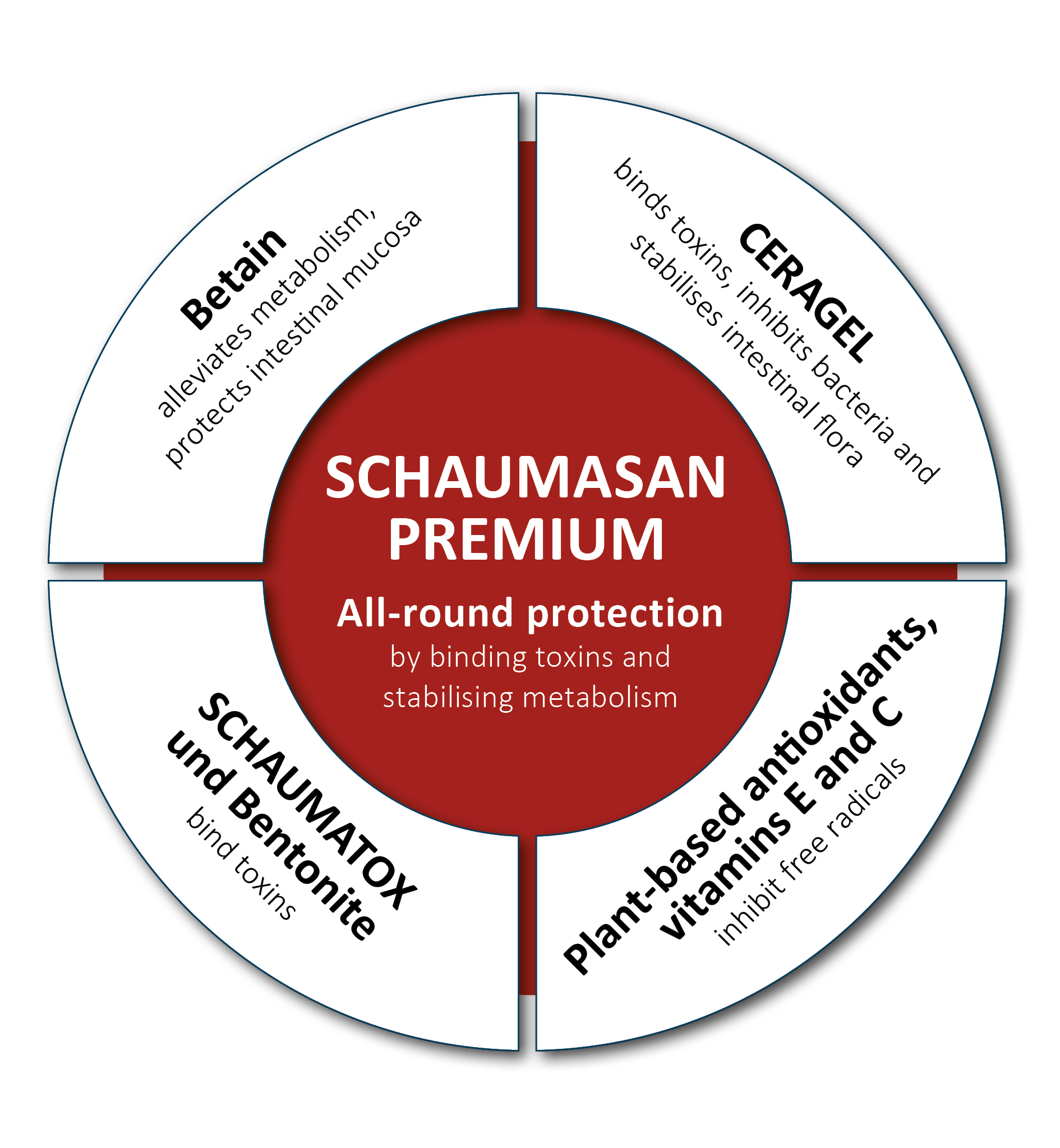 Components of SCHAUMASAN PREMIUM