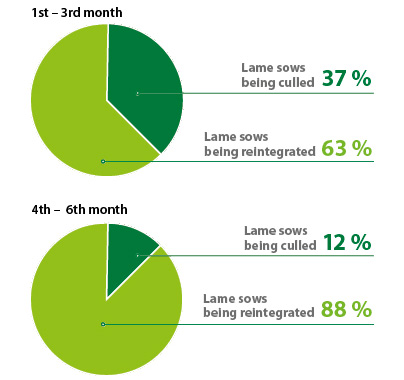 Loss rates