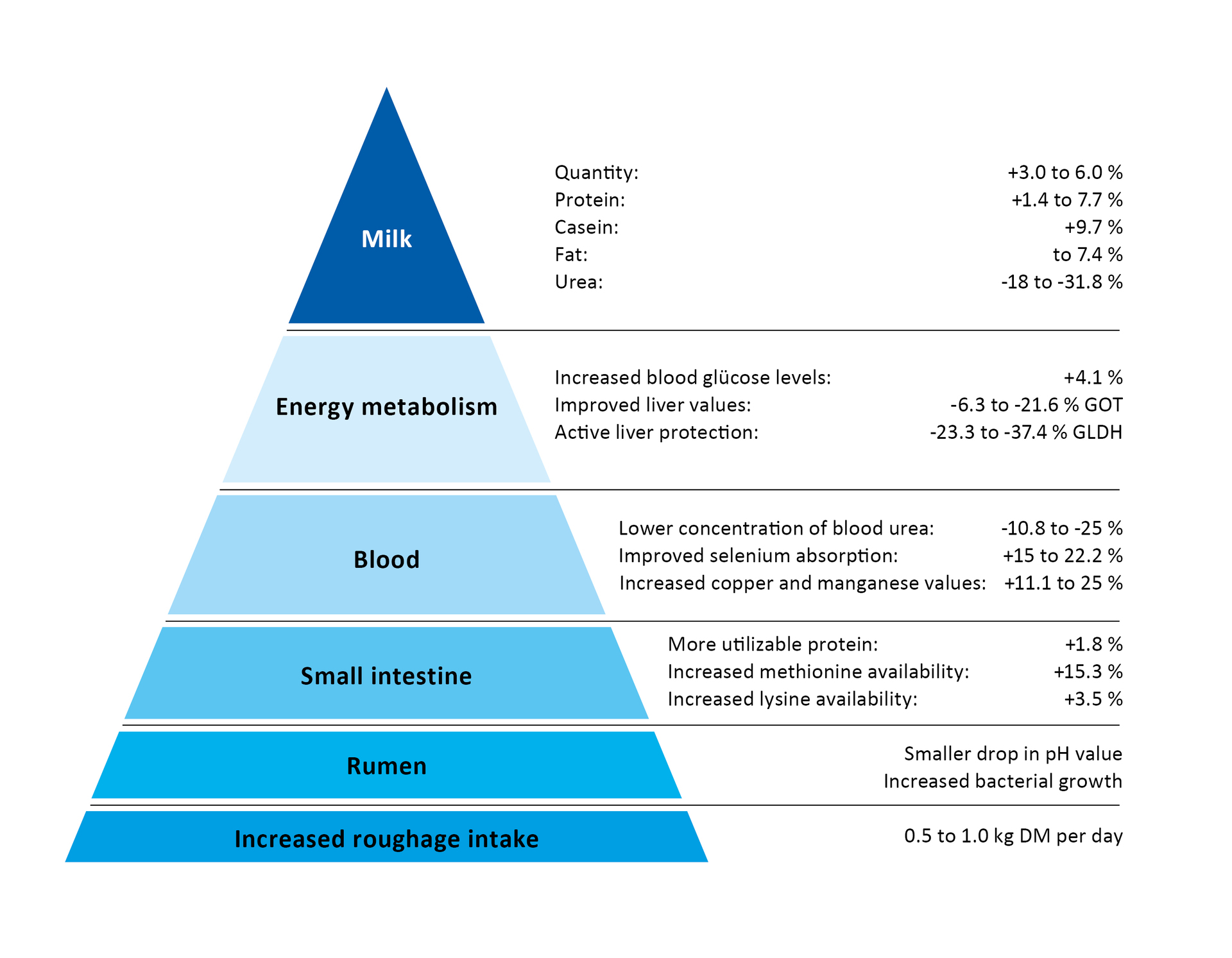 Performance pyramid BOVIN-S-KOMPLEX