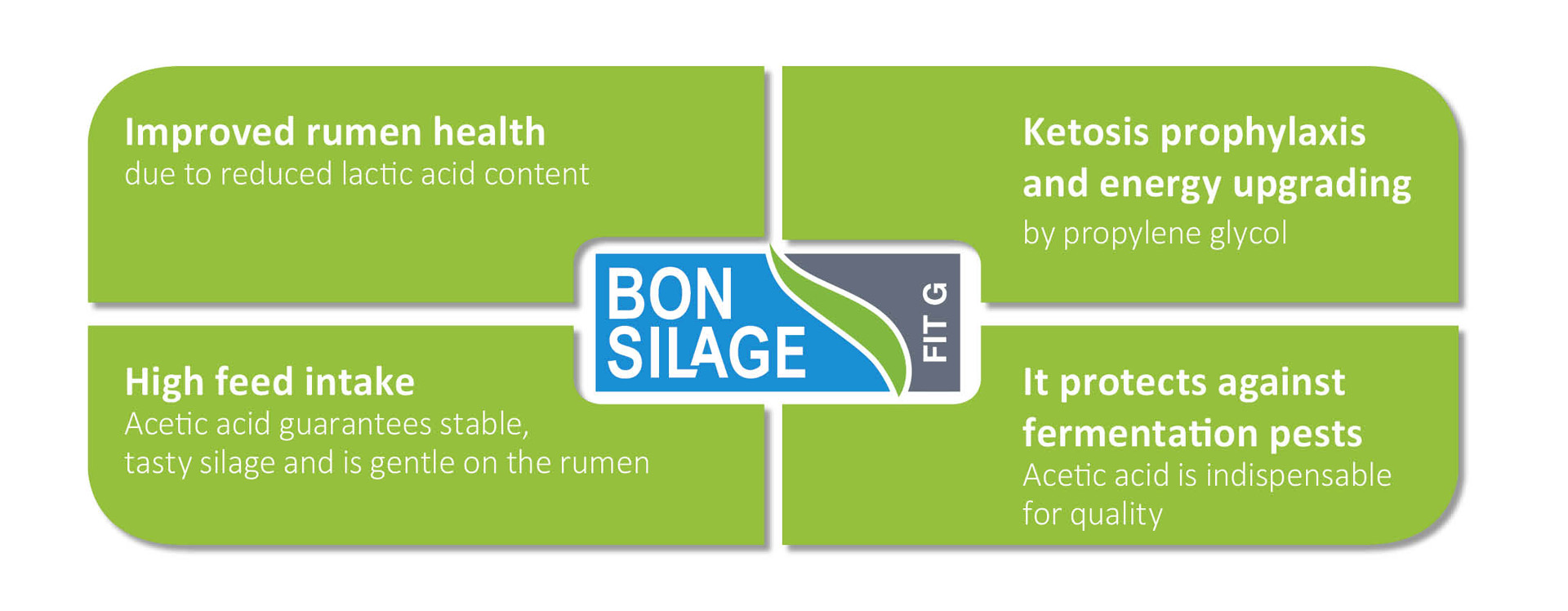 Effects of BONSILAGE FIT G