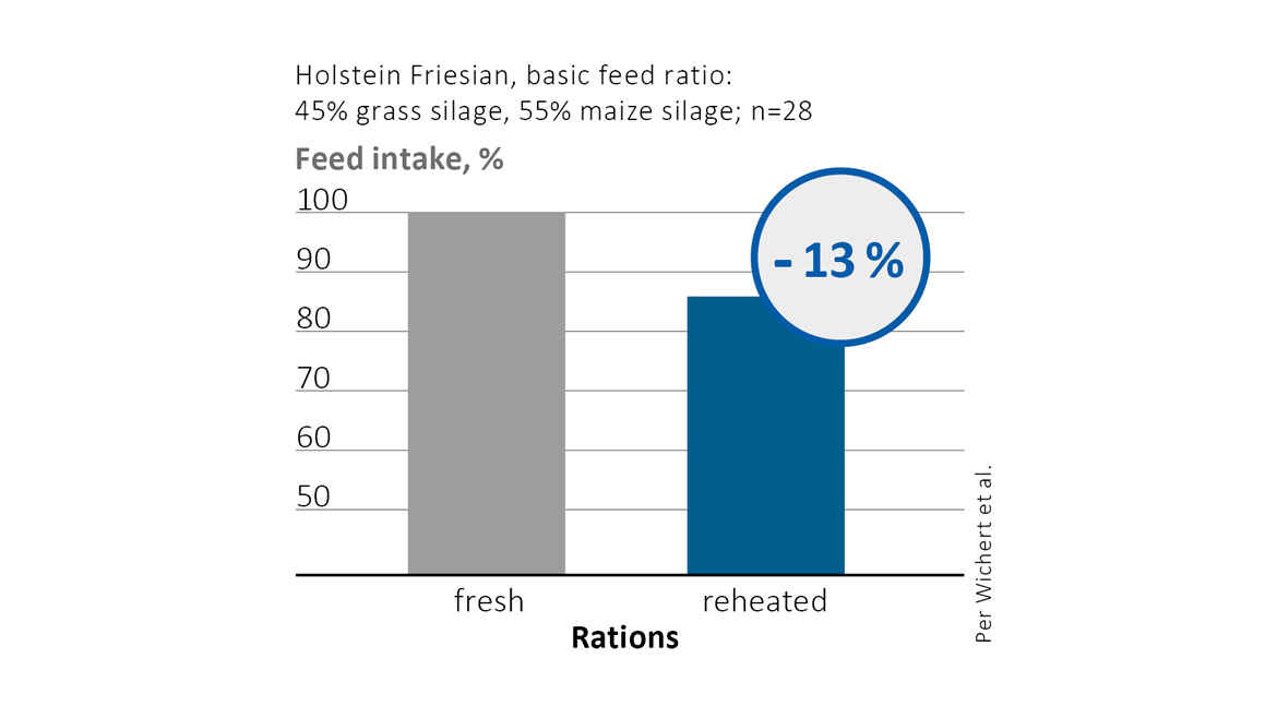Reheating in mixed ration reduces feed intake in cows